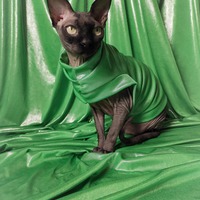 Easter Eggs (Green) - Thumbnail 1