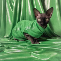 Easter Eggs (Green) - Thumbnail 2