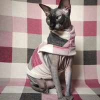 Ron Burgundy  - Thumbnail 1