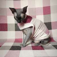 Ron Burgundy  - Thumbnail 3