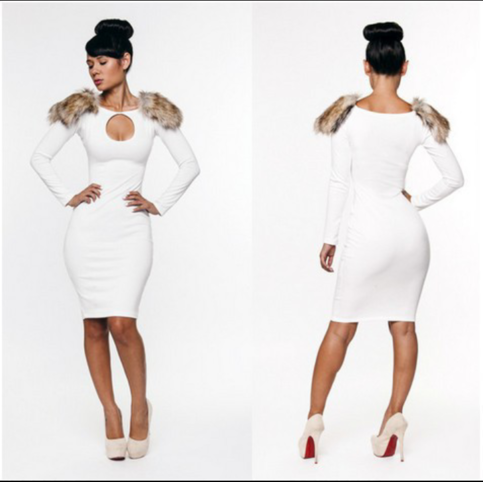 Faux Fur Sleeve Dress