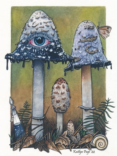 "Shaggy Ink Cap" Mushroom Print