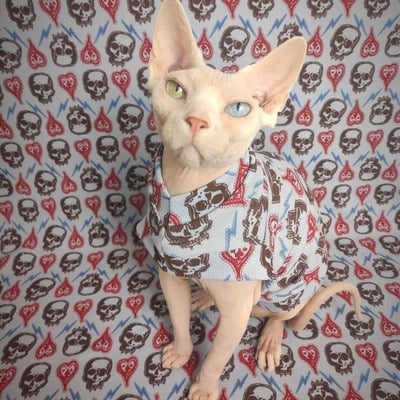 Hearts & minds thermal