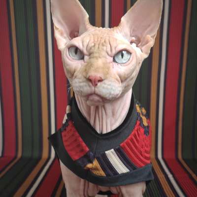 I got stripes w/ velvet