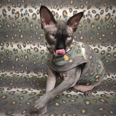 A leopard can't change his spots