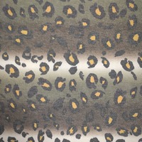 A Leopard Can't Change His Spots - Thumbnail 2