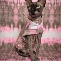 Pink & Brown Noise - Thumbnail 2