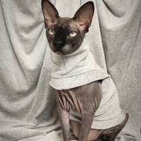 Grey Heather Velvet - Thumbnail 2