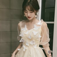 Champagne tulle lace long prom dress A line evening dress - Thumbnail 1