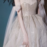 Champagne tulle sequins long prom dress evening dress - Thumbnail 1