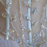 Champagne tulle beads long prom dress A line evening gown - Thumbnail 2