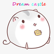 Dream castle