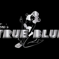 True Blue Metal Polish