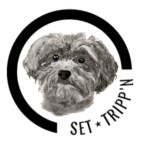 Set Tripp'n Cornerstore