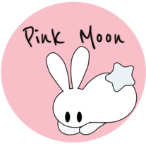 Pink Moon Clothing
