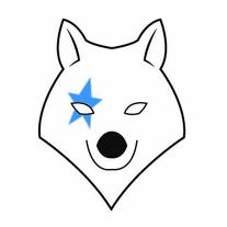 Star Wolf Studios