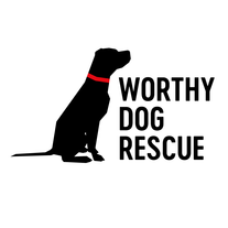 Worthy Dog Rescue Shop