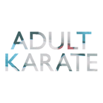 Adult Karate