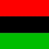 THE NEW AFRIKAN NATION  STORE