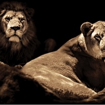 B67d142f 5a08 4bd2 9d42 18c21e051c53