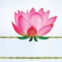 Nancy Natural Beauty Skincare