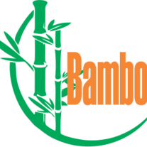 Bamboo