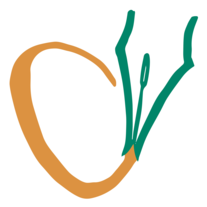 CanonWrite Productions