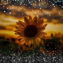 Sunflower Inspirations