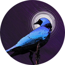 DarlingStarling
