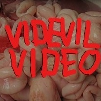 VidEvil Video