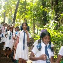 Kalmat Product Store