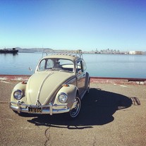 Volkswagen Beetle Shop