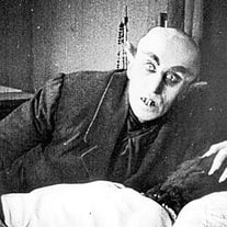 Sordid Curse Productions