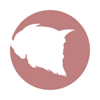 Devils Head Productions