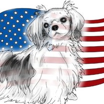 Off The Cuff Stuff For Pets