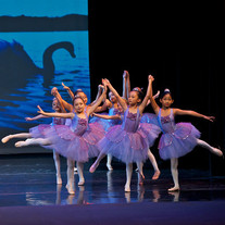 Page Academy of Dance Boutique