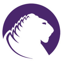 Solstik | The Force of Light