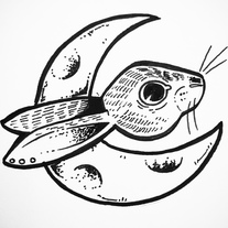 Little Wicked Things