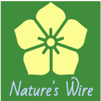 Nature's Wire