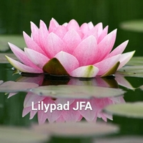 LILYPAD JFA