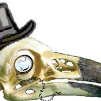 Professor Raven's Emporium