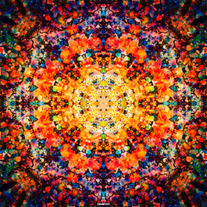 KaleidoscopiCreatureCreations