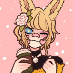 Download20221104110955