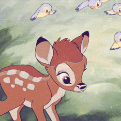 Tumblr mnbrzji02r1ru64vpo1 500