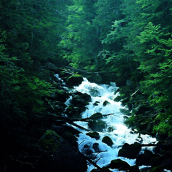 Tumblr m5aa8dwifs1r3bteso1 r2 500