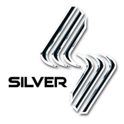 Silver jewelry logo