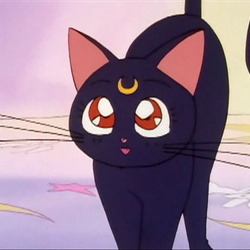 Luna sailormoon