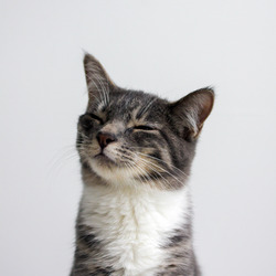 Tumblr mis6ppdzix1raxjpco1