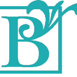 B logo transparent