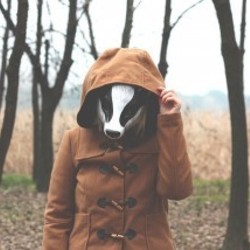 Inspiring pictures dzfgvvrl 233612 320 214 large